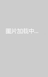 曦光映峥途（错把瓦砾当明珠）
